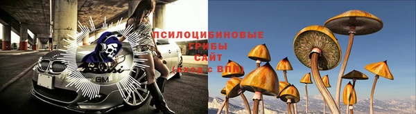 хмурый Усолье-Сибирское