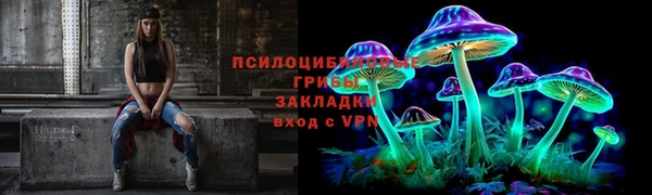 соль ск Тында