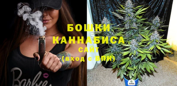хмурый Свободный