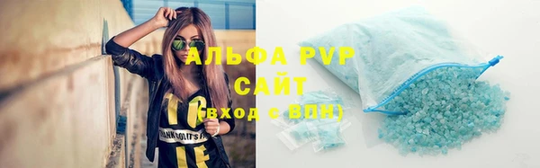 индика Тутаев