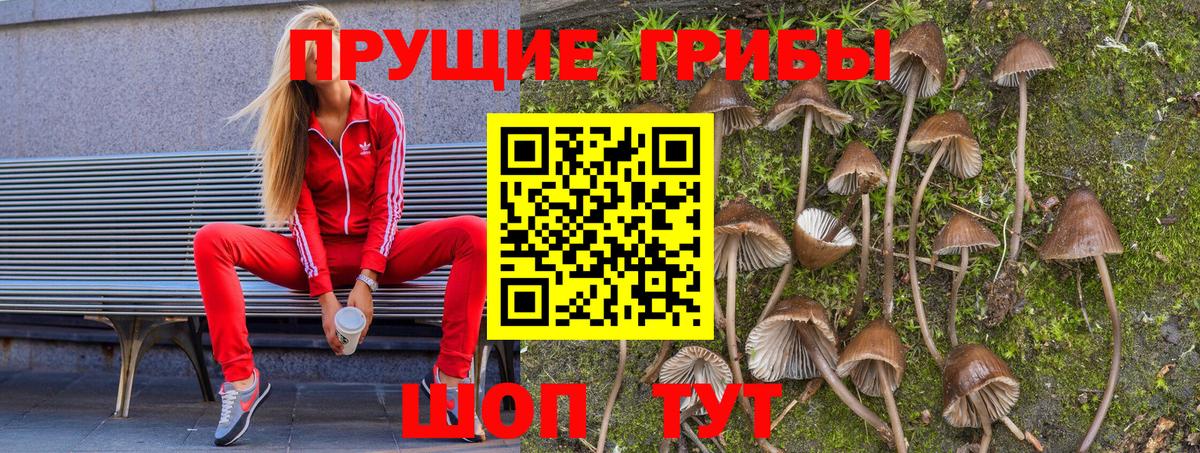 Псилоцибиновые грибы MAGIC MUSHROOMS Черногорск