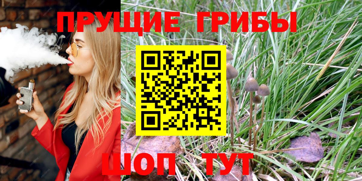 Псилоцибиновые грибы Psilocybe  Черногорск  Галлюциногенные грибы MAGIC MUSHROOMS 