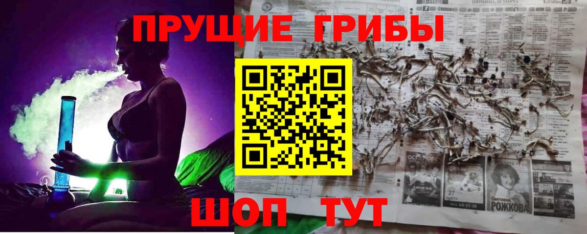 Черногорск  Галлюциногенные грибы мицелий  Вход с VPN  Галлюциногенные грибы GOLDEN TEACHER 